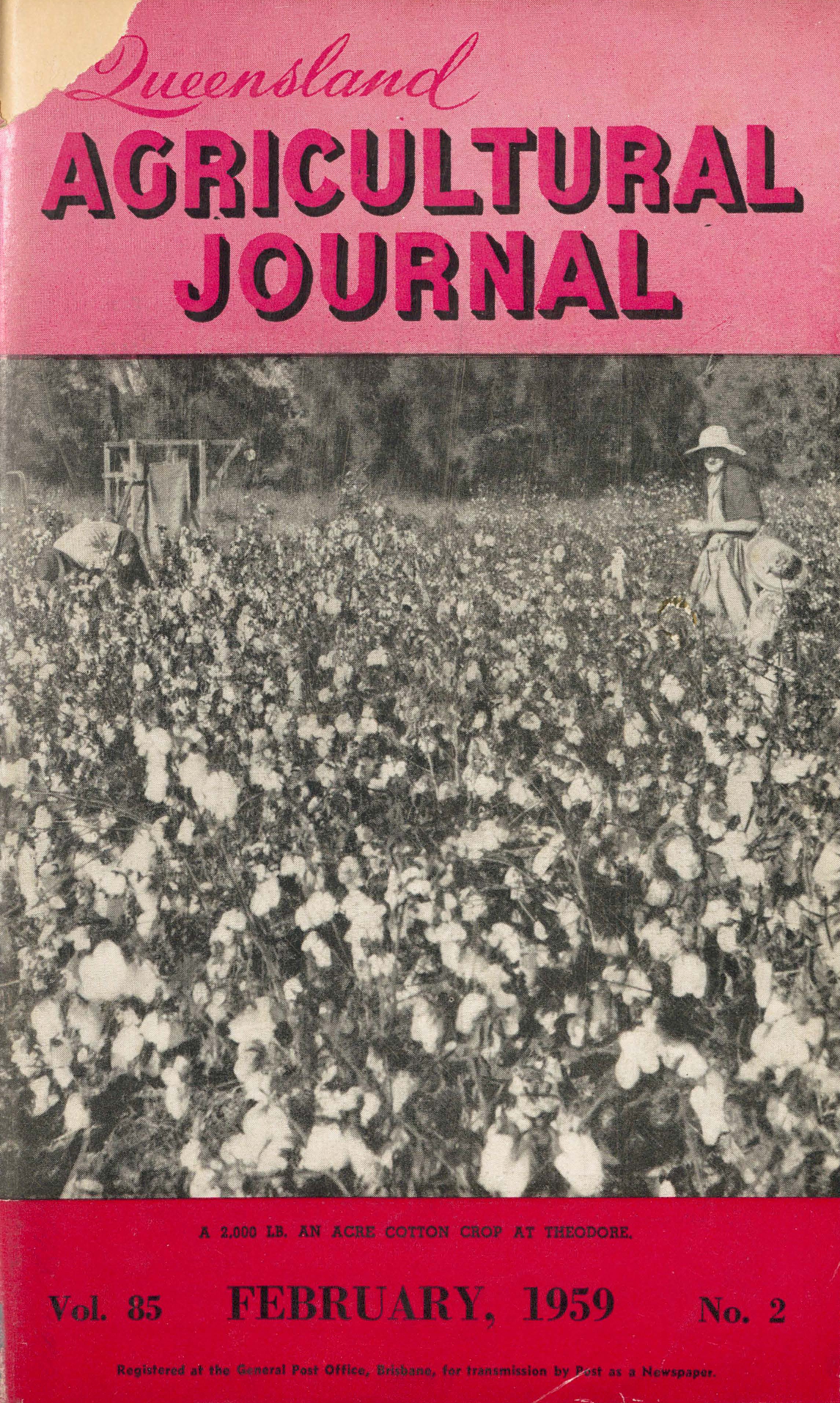 Queensland Agricultural Journal - February 1959