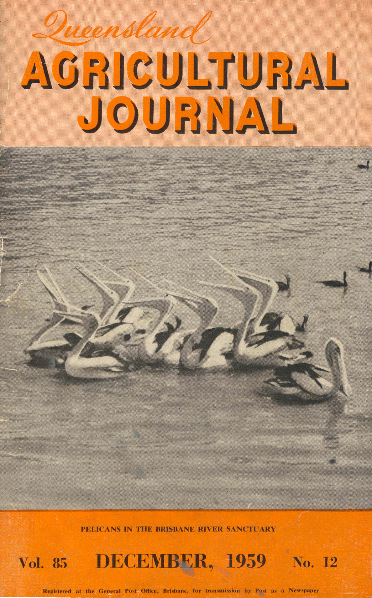 Queensland Agricultural Journal - December 1959