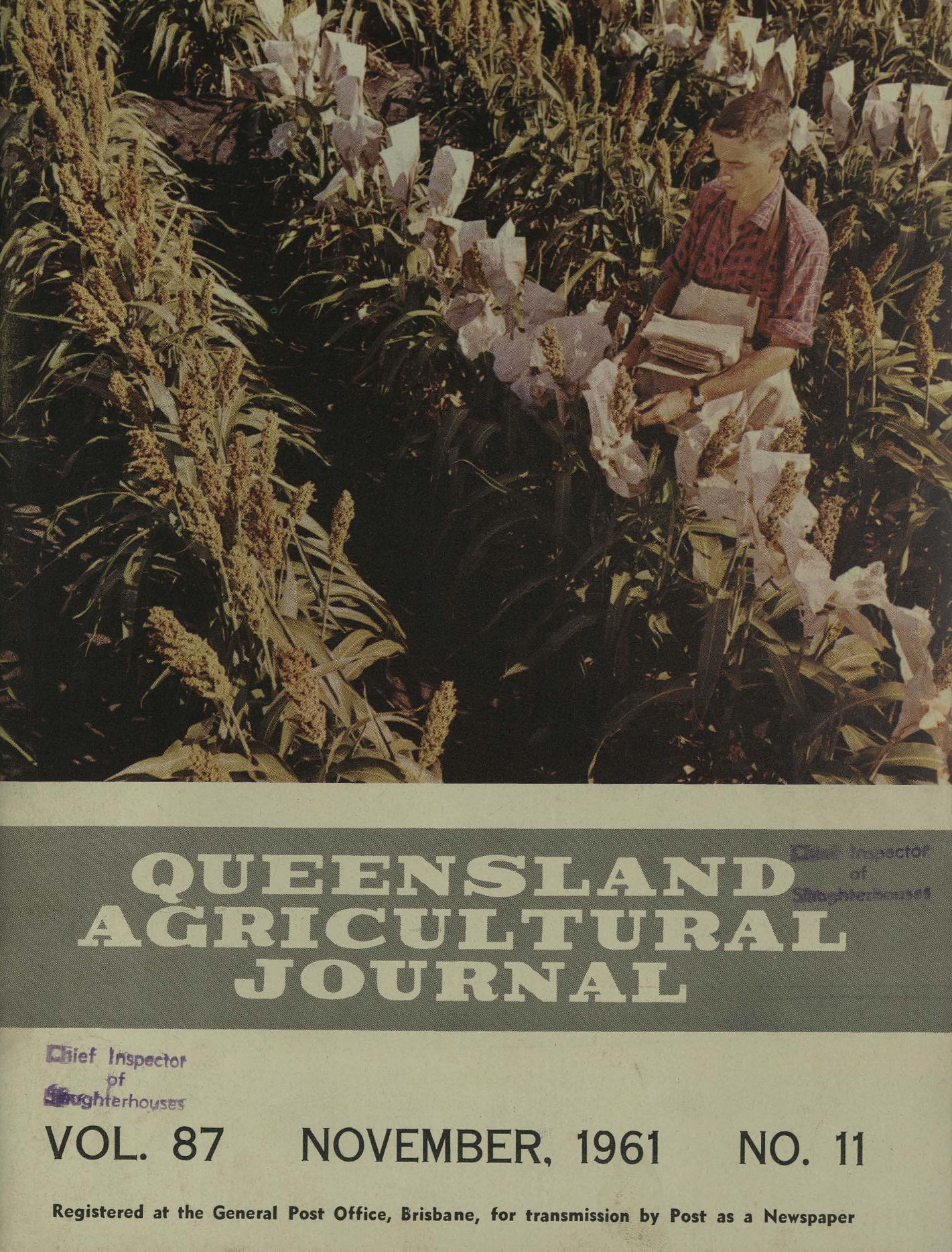 Queensland Agricultural Journal - November 1961