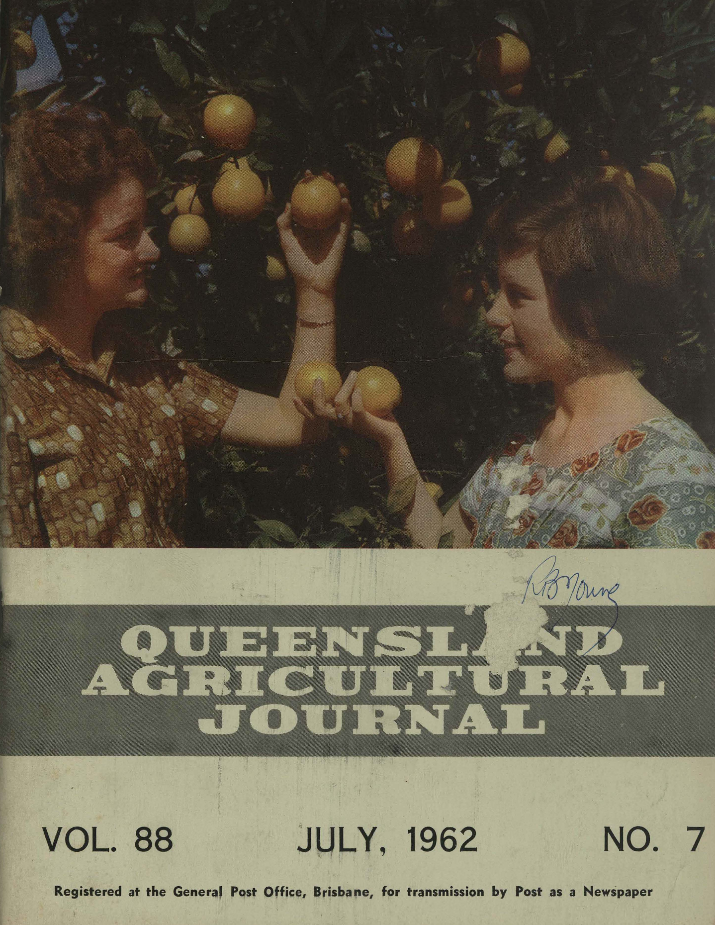 Queensland Agricultural Journal - July 1962