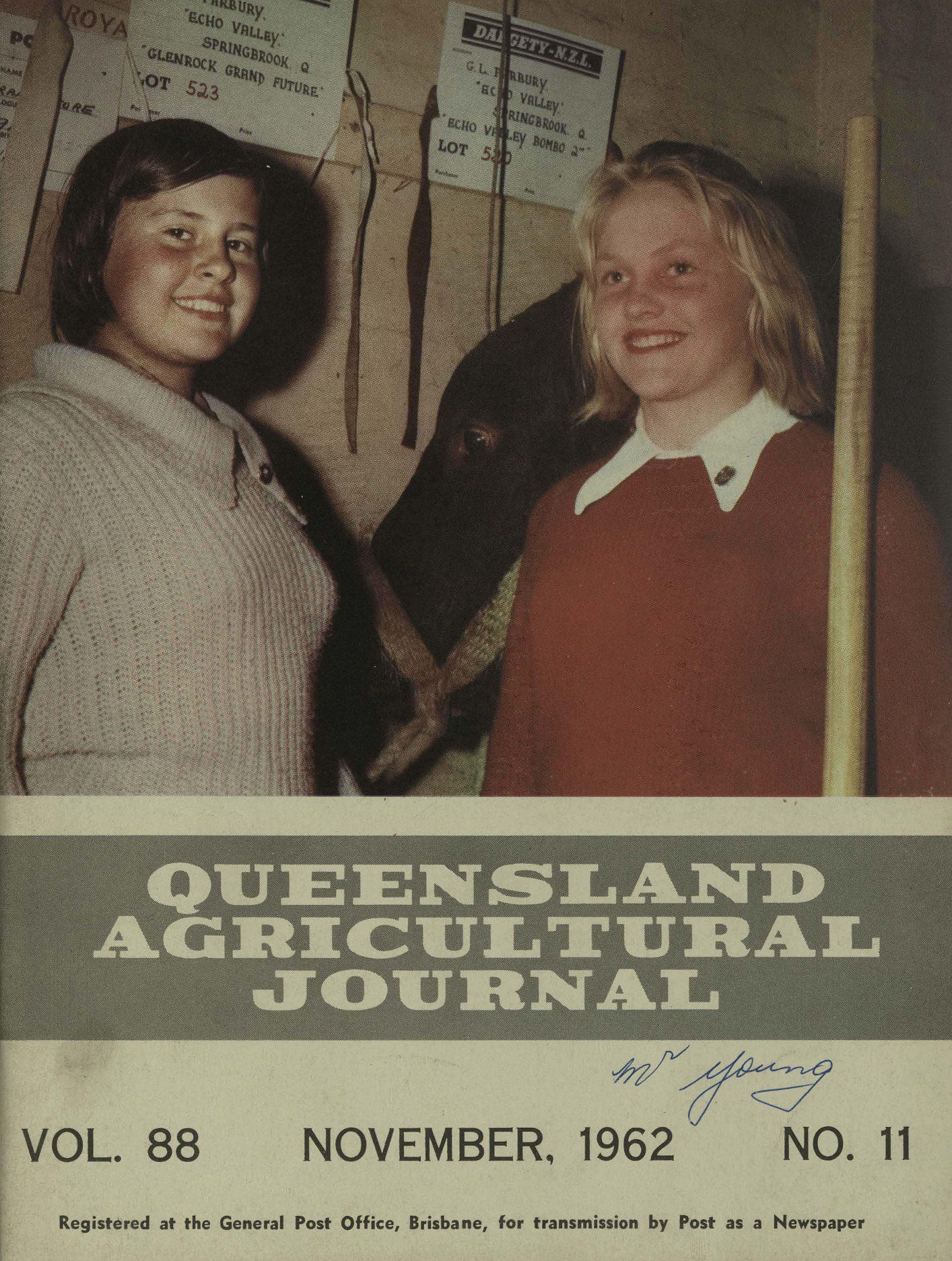 Queensland Agricultural Journal - November 1962