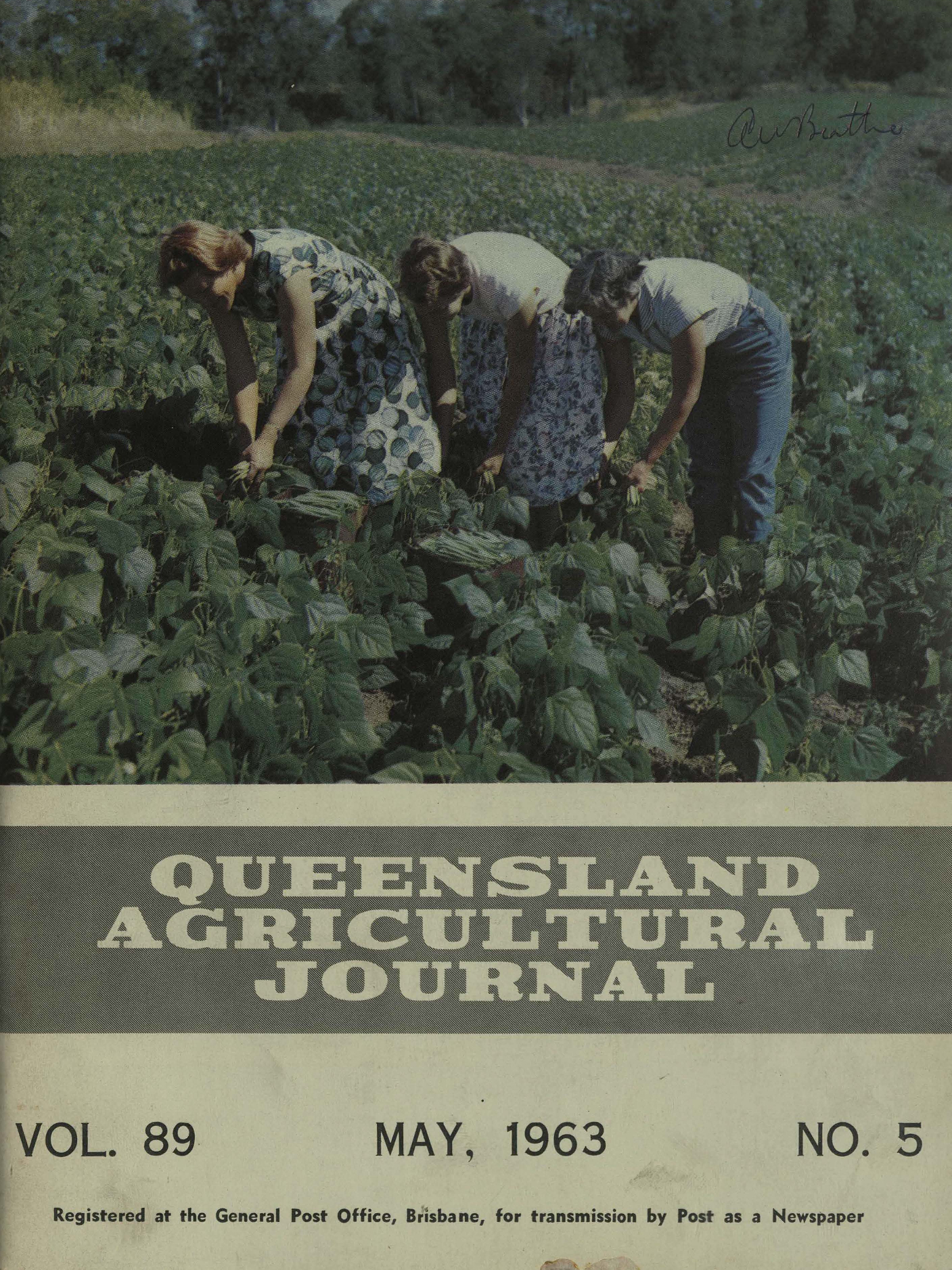 Queensland Agricultural Journal - May 1963