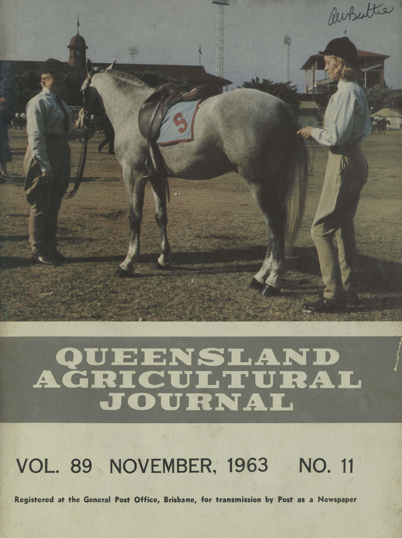 Queensland Agricultural Journal - November 1963
