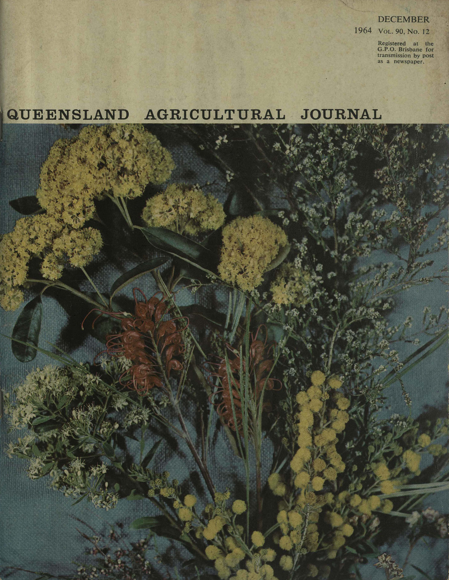 Queensland Agricultural Journal - December 1964