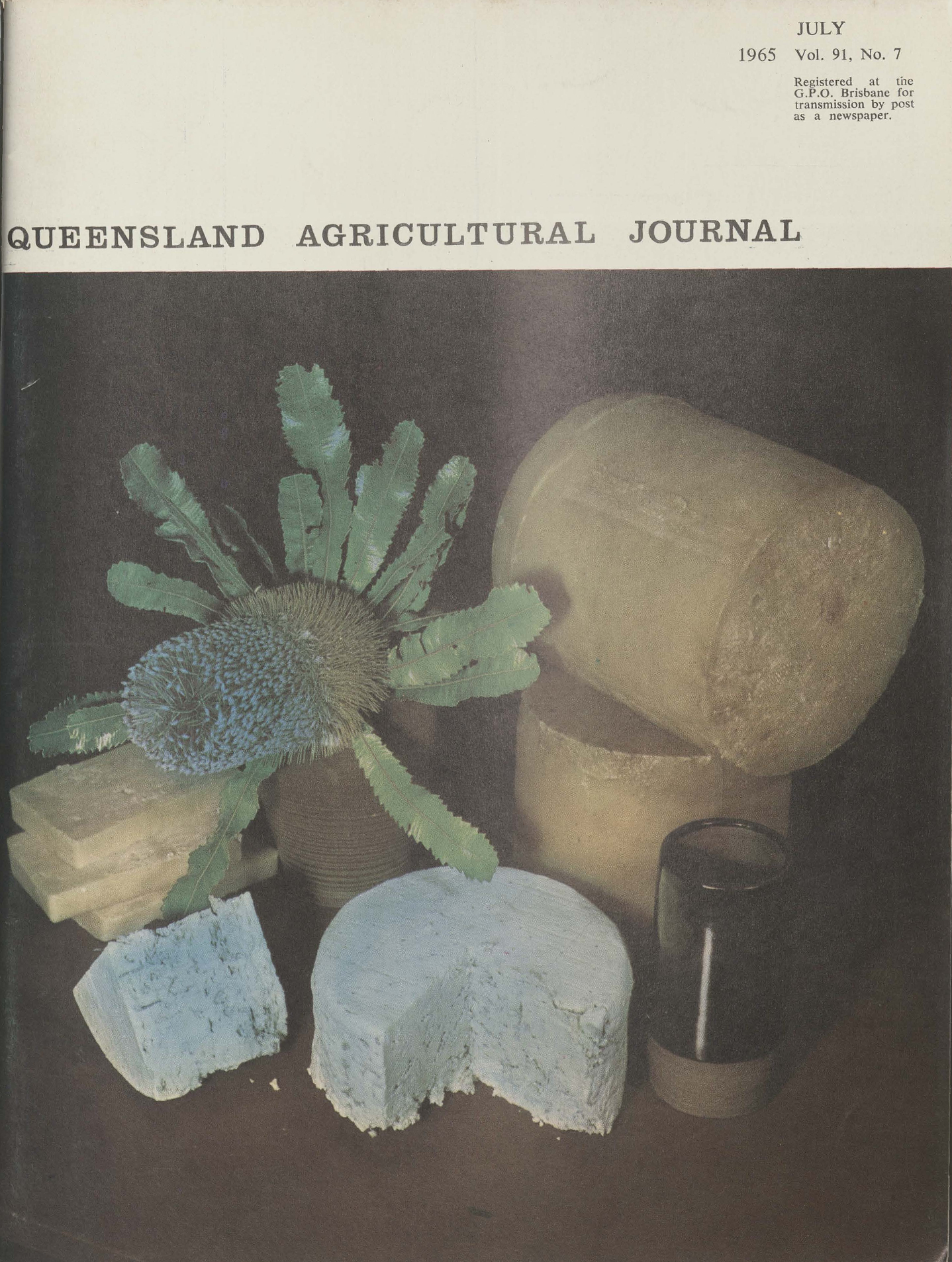 Queensland Agricultural Journal - July 1965