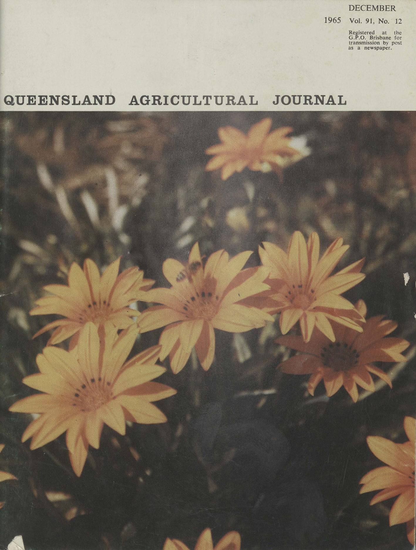 Queensland Agricultural Journal - December 1965