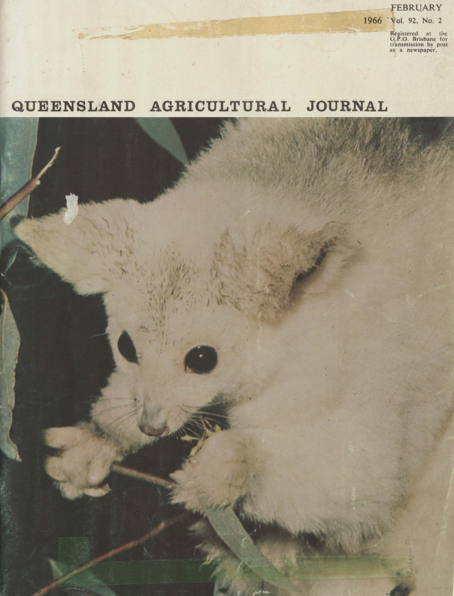 Queensland Agricultural Journal - February 1966