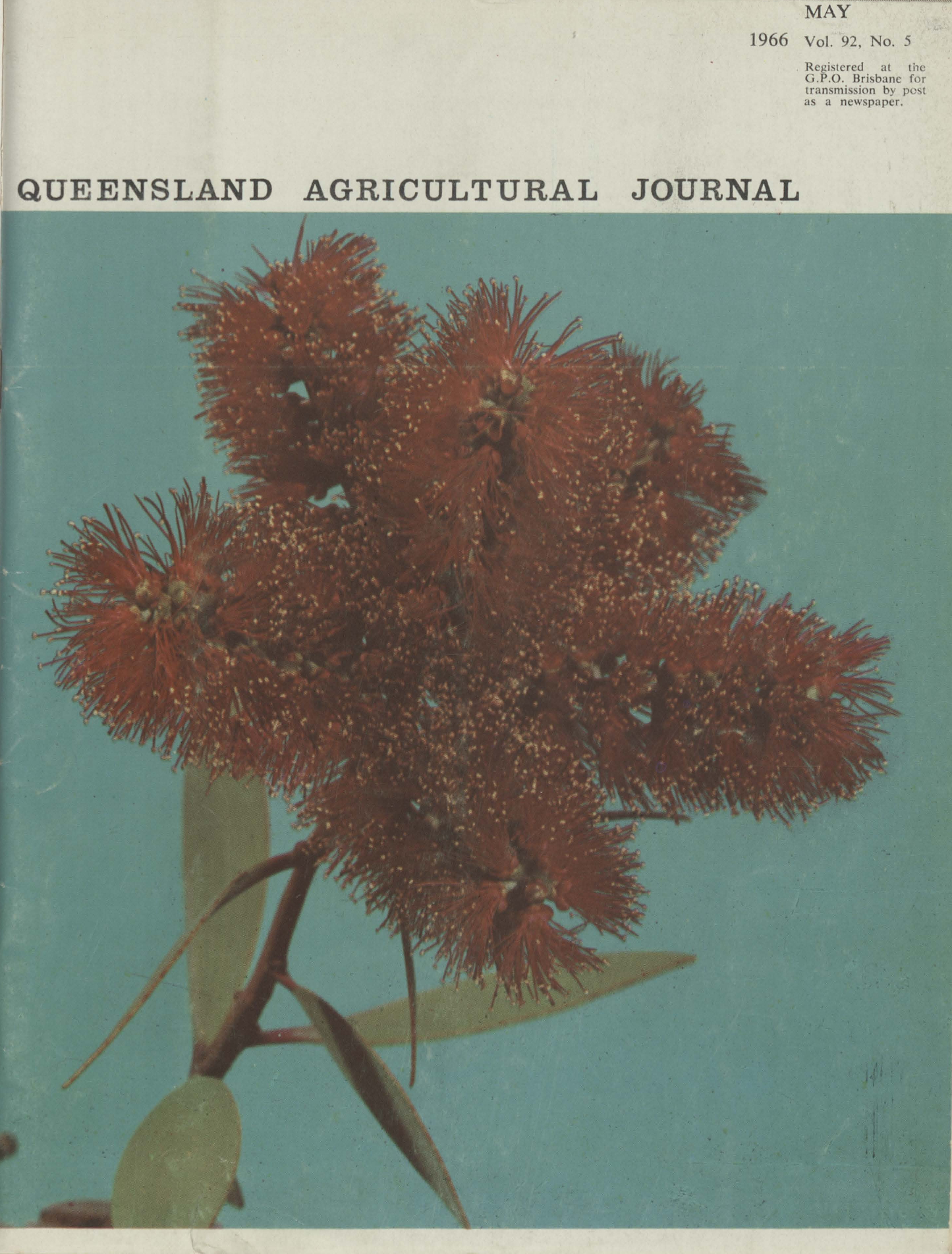 Queensland Agricultural Journal - May 1966