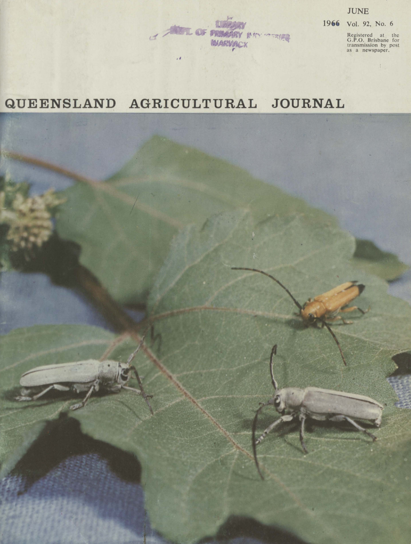 Queensland Agricultural Journal - June 1966
