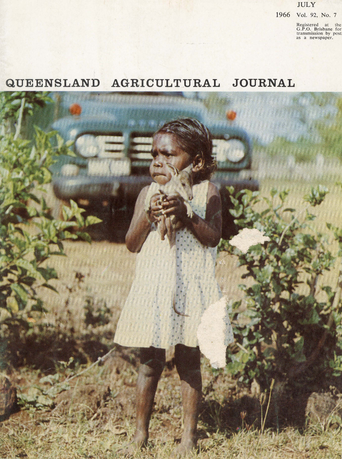 Queensland Agricultural Journal - July 1966