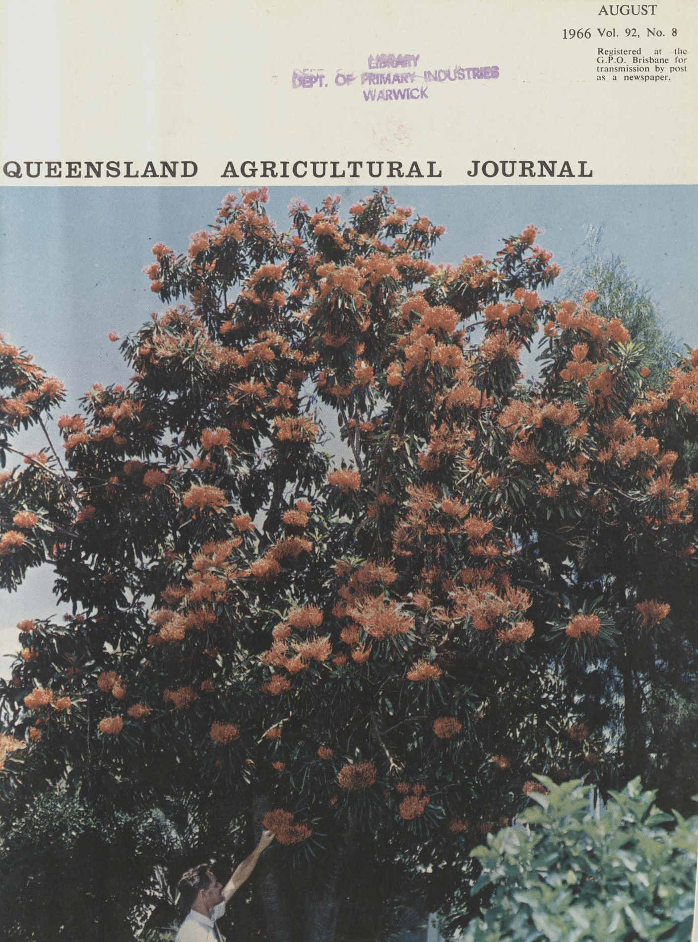 Queensland Agricultural Journal - August 1966