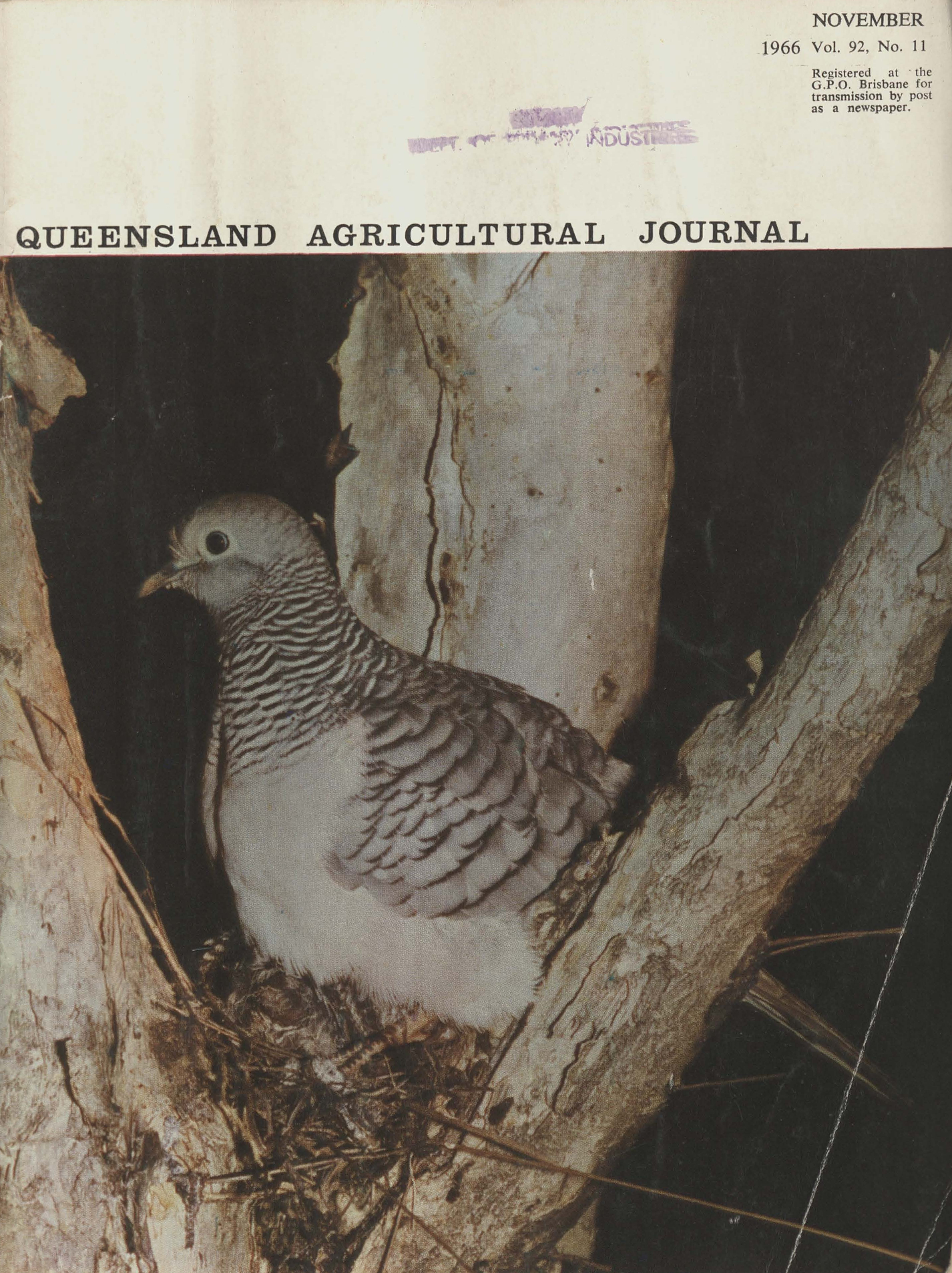 Queensland Agricultural Journal - November 1966
