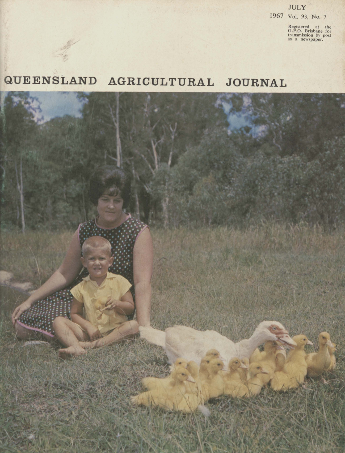 Queensland Agricultural Journal - July 1967