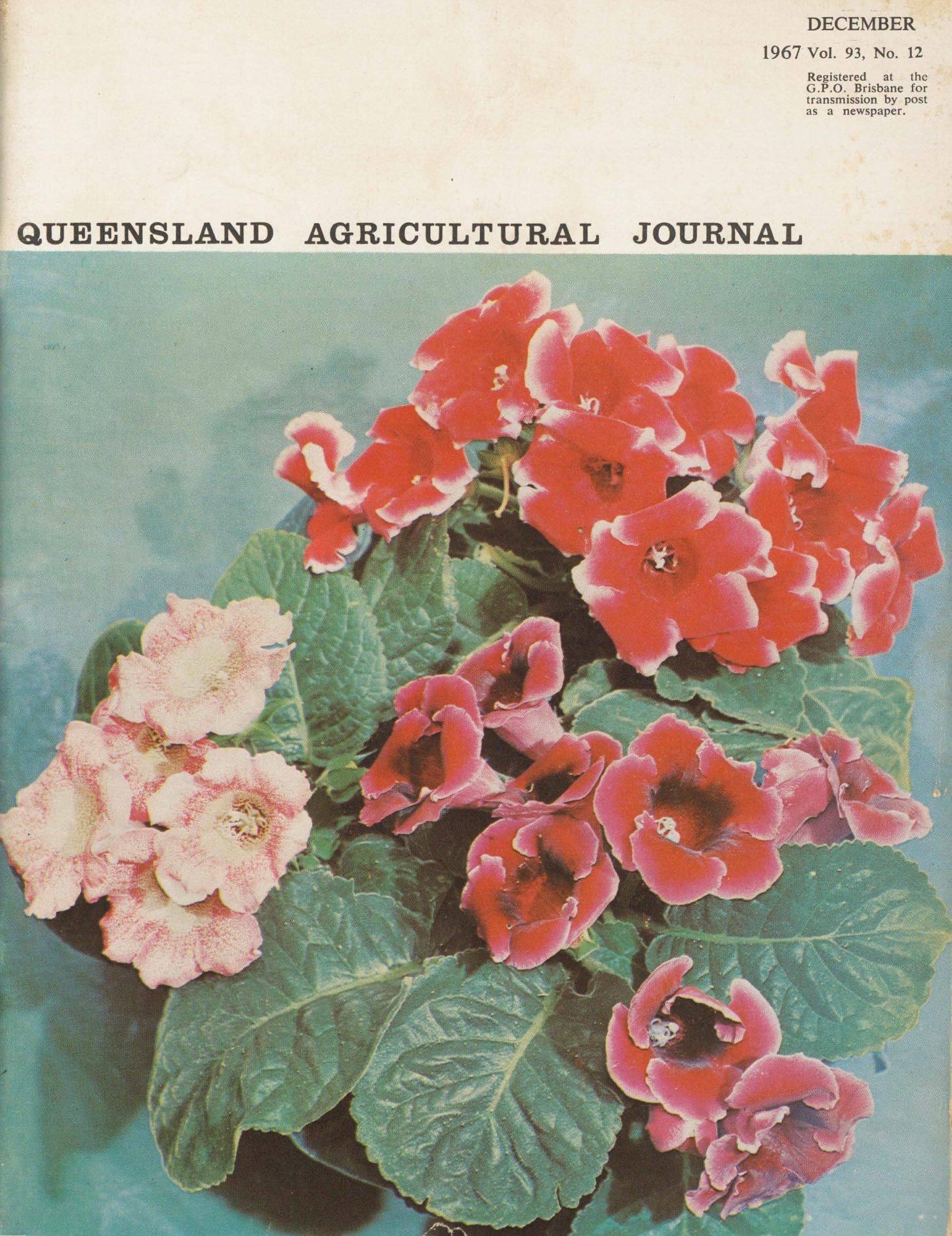 Queensland Agricultural Journal - December 1967