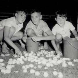 3 Boys picking up hail stones