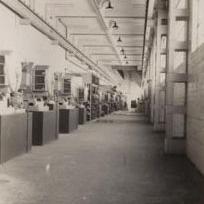 Botany - Harland Drive Annexe