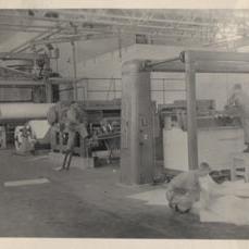 Fairfield - No. 5 Masson Scott Cutter