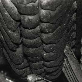 Damaged Machinery - Petrie Mill