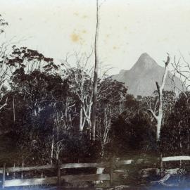 Mt Beerwah