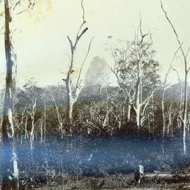 Mt Coonowrin (Crookneck) from Gympie Road
