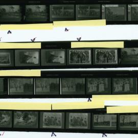 Proof Sheets for publication Tracks and Times, 1988 - Proof Sheet 14