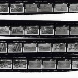 Proof Sheets from Tom Richards family photographs - Proof Sheet 3