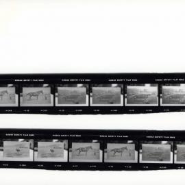 Proof Sheets from Tom Richards family photographs - Proof Sheet 4