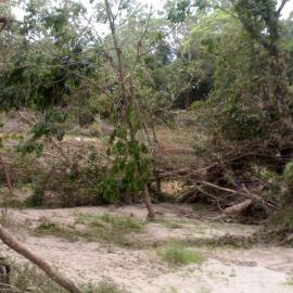 January 2011 Flood Event - Debris left after the North Pine River flooded 