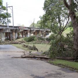 January 2011 Flood Event - Debris in Leis Park Lawnton