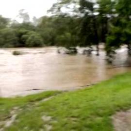 January 2011 Flood Event - North Pine River in flood
