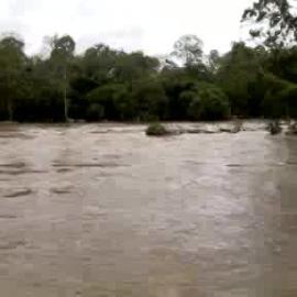 January 2011 Flood Event - North Pine River in flood
