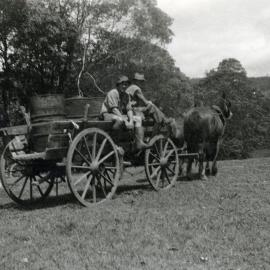 Wagon used to carry bananas to Wamuran Station, ca. 1949