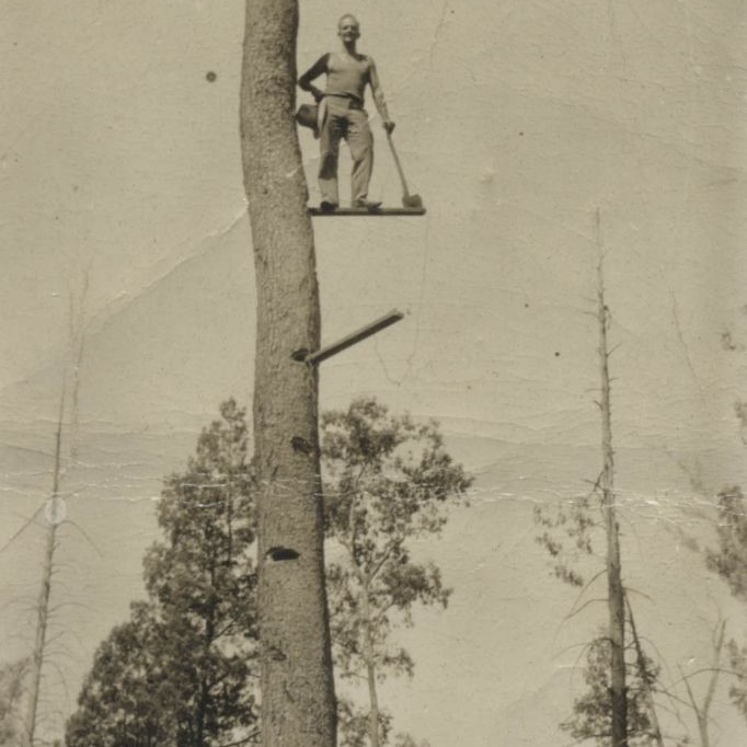 H.E. Page of Peachester