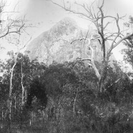 Mt Tibrogargan, ca. 1890