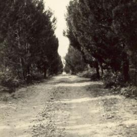 Campbell Street (now First Avenue), Bribie Island, ca. 1950