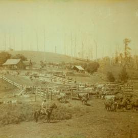 Woodward family's farm at Armstrong Creek