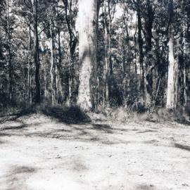 Mt Nebo and Mt Glorious trip for heritage sites