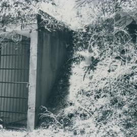 Mt Nebo and Mt Glorious trip for heritage sites