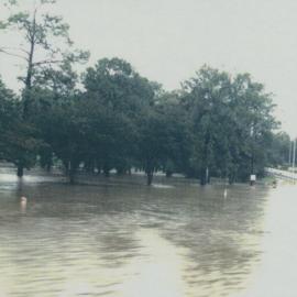 Flood waters of the North Pine River in Wyllie Park, Petrie, 1983