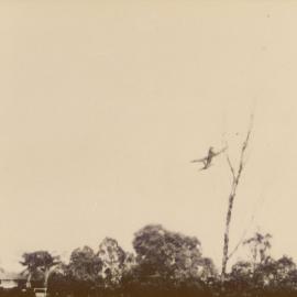 WW2 (WWII) American plane around Samsonvale, near the Gold family property