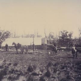 Workers and horses on a farm