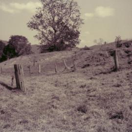 Ferny Grove to Dayboro train walk, 1994