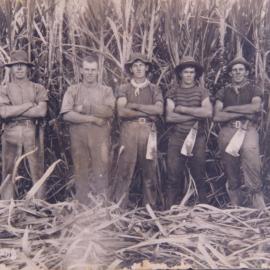 Cane cutting gang from Pine Rivers, 1913