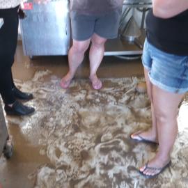 February 2022 Floods - Woodford Showgrounds