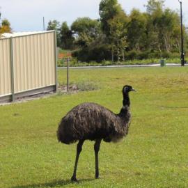 Eric Comes Calling at Pacific Harbour - 2010