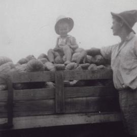 Sitting on the pumpkins