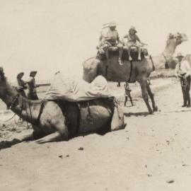 Camel rides on the beach