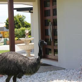 Eric Comes Calling at Pacific Harbour - 2010