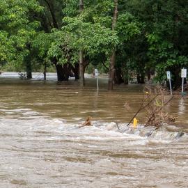 Sweeney Reserve, Petrie - Flooding - May 2022