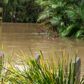 Sweeney Reserve, Petrie - Flooding - May 2022